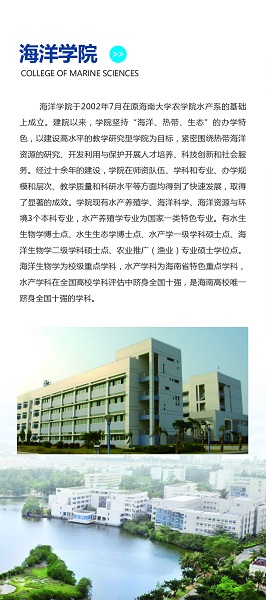 best365中国官方网站